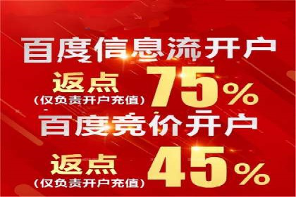 解析百度竞价推广公司经典案例：精准营销的秘诀